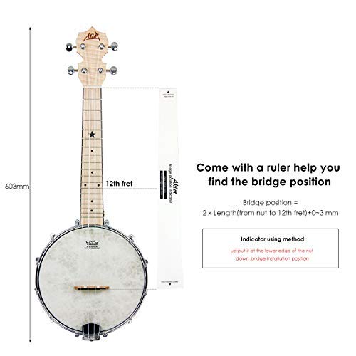 Banjo Ukulele Concert 23 inch Remo Drumhead Open Back Maple