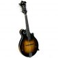 Rover 8 String Mandolin, Right, amber