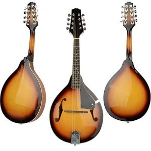 Set of Maple Wood Mandolin with Extra Strings - Image 4
