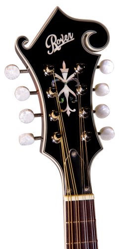 Rover 8 String Mandolin, Right, amber