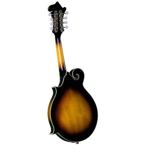 Rover 8 String Mandolin, Right, amber