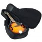 Heavy Duty A & F Style Mandolin Gig Bag