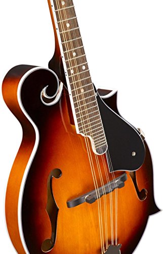 Rogue RM100F F-Style Mandolin – Affordable, High-Quality Sound for Beginners & Pros