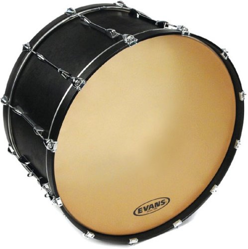 Evans Strata 1000 Timpani Head, 30 Inch
