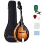 Donner A Style Mandolin Instrument Sunburst Mahogany