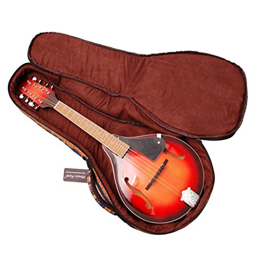 Mandolin Gig Bag Original Design 15mm Thick Padded Cotton