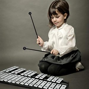 Glockenspiel Xylophone 30 Note, with Wooden Base and 30 Metallic Keys - Image 3