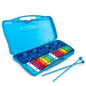 Xylophone w/Case, Colorful Musical Toy w/Clear Tuned Metal Keys