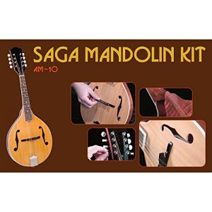 Saga AM-10 A-Model Mandolin Kit - Image 2