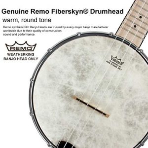 Banjo Ukulele Concert 23 inch Remo Drumhead Open Back Maple - Image 2