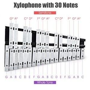 Glockenspiel Xylophone 30 Note, with Wooden Base and 30 Metallic Keys - Image 8