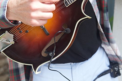 Mandolin Pickup with Flexible Micro-Gooseneck by Myers Pickups