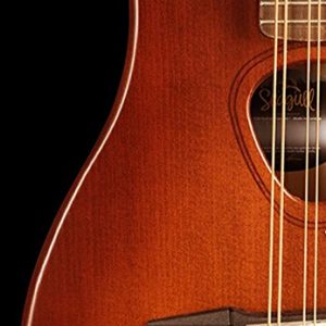 Seagull S8 Mandolin SG, Burnt Amber Burnt Umber - Image 6