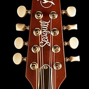 Seagull S8 Mandolin SG, Burnt Amber Burnt Umber - Image 5