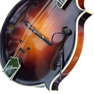 Mandolin Pickup with Flexible Micro-Gooseneck by Myers Pickups