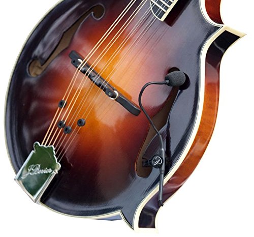 Mandolin Pickup with Flexible Micro-Gooseneck by Myers Pickups