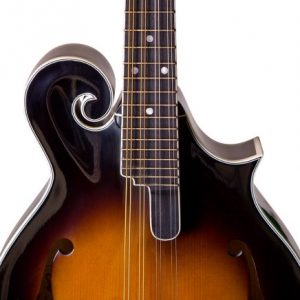 Rover 8 String Mandolin, Right, amber - Image 3