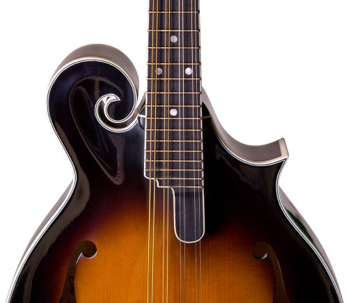 Rover 8 String Mandolin, Right, amber