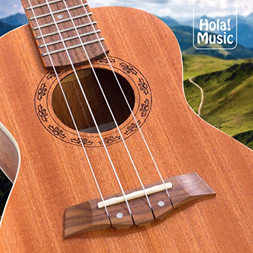 Concert Ukulele Bundle, Deluxe Series