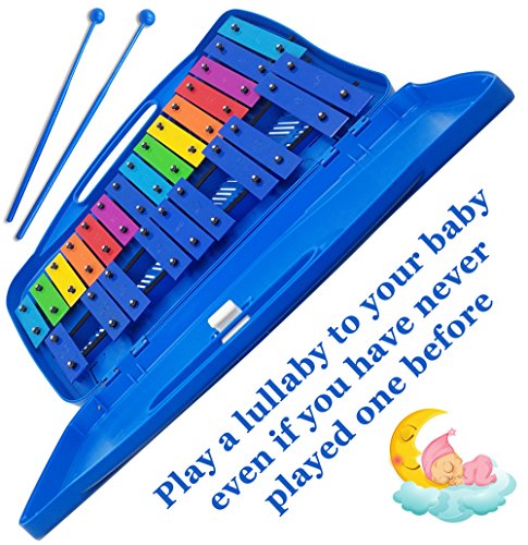 Xylophone 25 Note Chromatic Glockenspiel in Case