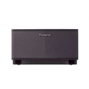 Roland CUBE-LT Lite Tabletop Monitor Amplifier, Black
