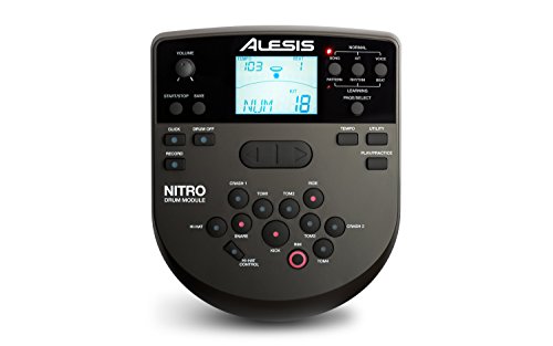 Alesis Nitro Kit: Elevate Your Drumming Experience