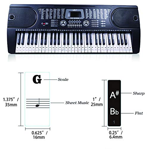 BIGTEDDY - Piano Stickers for 37/49/54/61/88 Key Keyboards