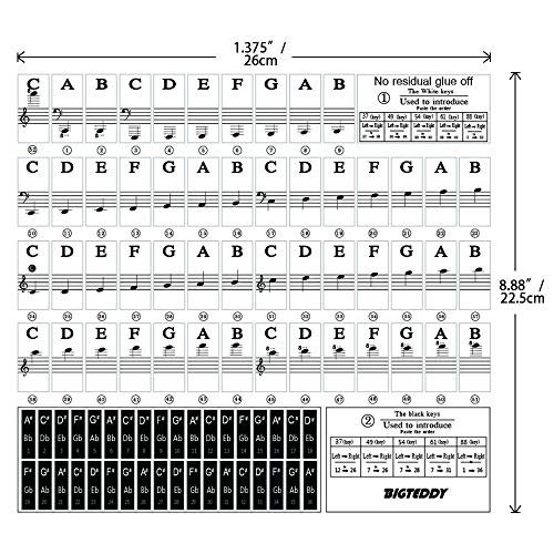 BIGTEDDY - Piano Stickers for 37/49/54/61/88 Key Keyboards