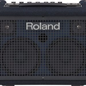 Roland KC-220 Battery-Powered Stereo Keyboard Amplifier, 30-Watt (15W + 15W)