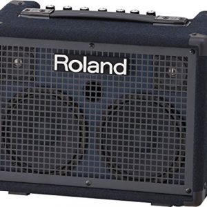 Roland Battery-Powered Stereo, Keyboard Amplifier - Image 2