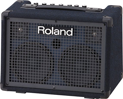 Roland Battery-Powered Stereo, Keyboard Amplifier