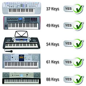 BIGTEDDY - Piano Stickers for 37/49/54/61/88 Key Keyboards - Image 3