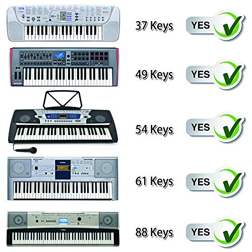 BIGTEDDY - Piano Stickers for 37/49/54/61/88 Key Keyboards
