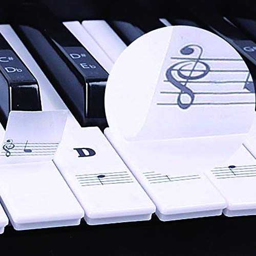 BIGTEDDY - Piano Stickers for 37/49/54/61/88 Key Keyboards