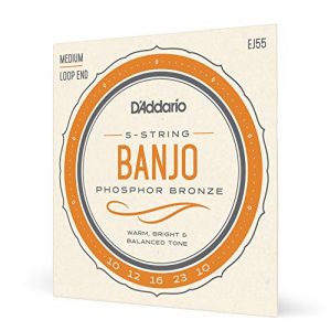 D'Addario EJ55 Phosphor Bronze 5-String Banjo Strings, Medium, 10-23