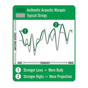 Martin Guitar Authentic Acoustic Custom-Gauge Marquis Silked Strings - Image 6