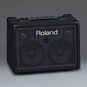 Roland Battery-Powered Stereo, Keyboard Amplifier - Image 5