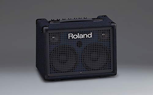 Roland Battery-Powered Stereo, Keyboard Amplifier