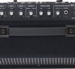 Roland Battery-Powered Stereo, Keyboard Amplifier - Image 4