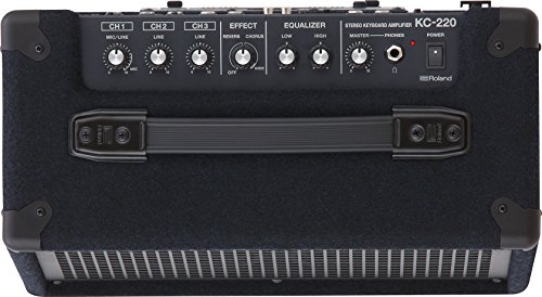 Roland Battery-Powered Stereo, Keyboard Amplifier