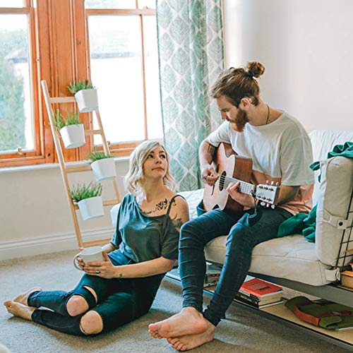 XERGUR Guitar Beginner, One-Key Chord Assisted Learning Tools