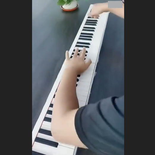 The perfect musical companion Portable 88-Key Piano Keyboard: