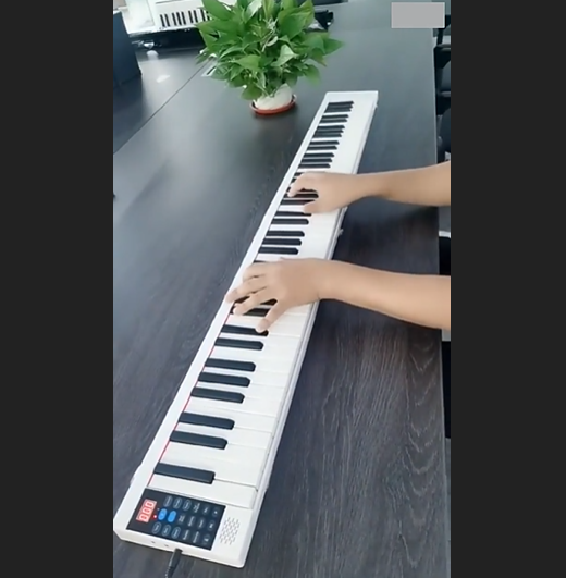 The perfect musical companion Portable 88-Key Piano Keyboard: