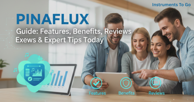 Pinaflux Guide: Features, Benefits, Reviews & Expert Tips Today